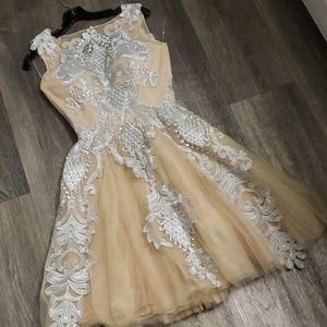 Chotronette Dresses - Silver Lace Cream Beige Tulle Dress by Chotronette Chotronette Dresses - Silver Lace Cream Beige Tulle Dress by Chotronette